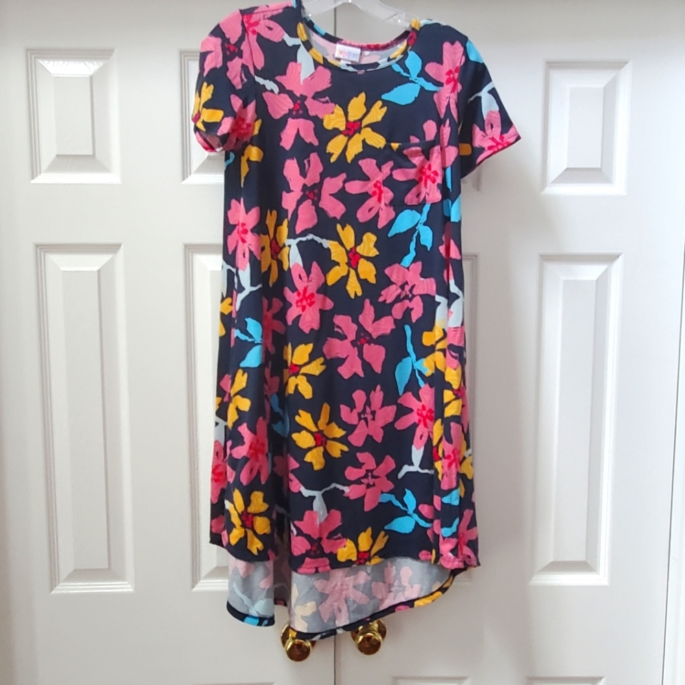 Lularoe Carly Navy Floral Dress